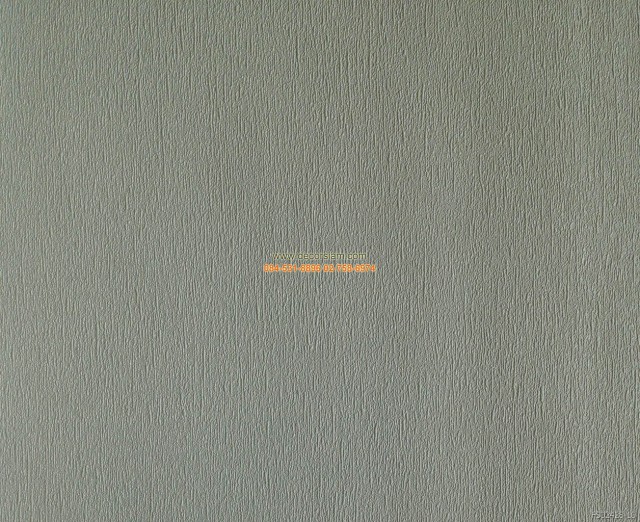02428-10