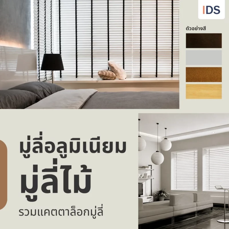 รวมแคตตาล็อกมู่ลี่